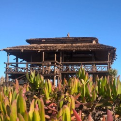 Blue Di Fiore - Pâte Molle